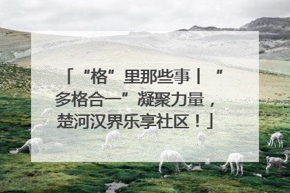 “格”里那些事丨“多格合一”凝聚力量，楚河汉界乐享社区！
