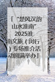 “楚风汉韵 山水淮南” 2025淮南文旅（闵行）专场推介活动圆满举办