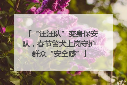 “汪汪队”变身保安队，春节警犬上岗守护群众“安全感”