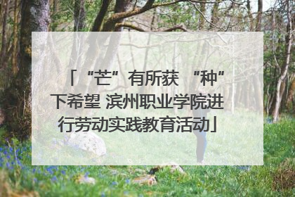 “芒”有所获 “种”下希望 滨州职业学院进行劳动实践教育活动