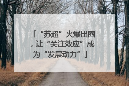 “苏超”火爆出圈，让“关注效应”成为“发展动力”