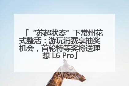 “苏超状态”下常州花式整活：游玩消费享抽奖机会，首轮特等奖将送理想 L6 Pro
