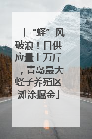 “蛏”风破浪！日供应量上万斤，青岛最大蛏子养殖区滩涂掘金