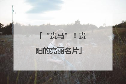 “贵马”！贵阳的亮丽名片