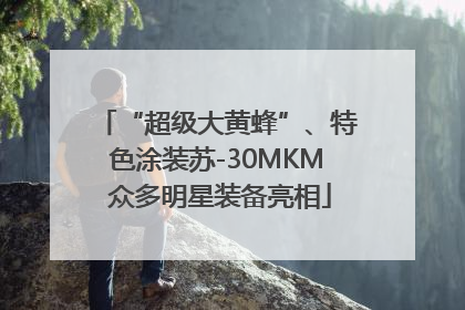 “超级大黄蜂”、特色涂装苏-30MKM 众多明星装备亮相