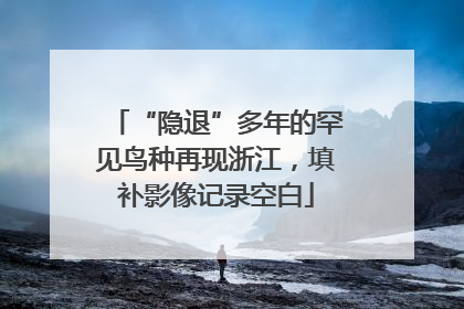 “隐退”多年的罕见鸟种再现浙江，填补影像记录空白