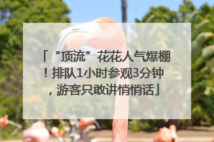 “顶流”花花人气爆棚！排队1小时参观3分钟，游客只敢讲悄悄话