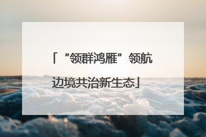 “领群鸿雁”领航边境共治新生态