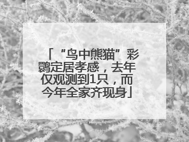 “鸟中熊猫”彩鹮定居孝感，去年仅观测到1只，而今年全家齐现身