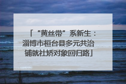 “黄丝带”系新生：淄博市桓台县多元共治铺就社矫对象回归路