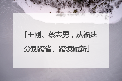 王刚、蔡志勇，从福建分别跨省、跨境履新