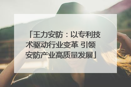 王力安防：以专利技术驱动行业变革 引领安防产业高质量发展