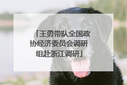王勇带队全国政协经济委员会调研组赴浙江调研