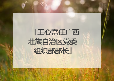王心富任广西壮族自治区党委组织部部长