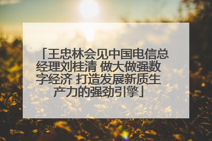 王忠林会见中国电信总经理刘桂清 做大做强数字经济 打造发展新质生产力的强劲引擎