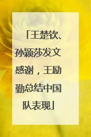 王楚钦、孙颖莎发文感谢，王励勤总结中国队表现