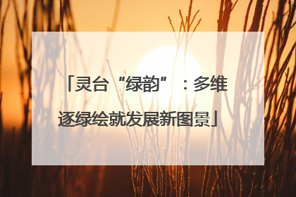灵台“绿韵”：多维逐绿绘就发展新图景