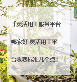 灵活用工服务平台哪家好 灵活用工平台收费标准几个点