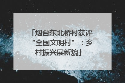 烟台东北桥村获评“全国文明村”：乡村振兴展新貌