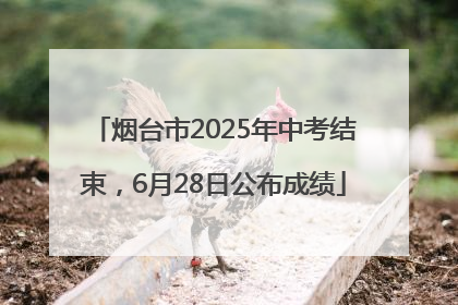 烟台市2025年中考结束，6月28日公布成绩