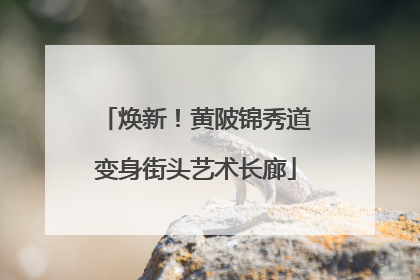 焕新！黄陂锦秀道变身街头艺术长廊