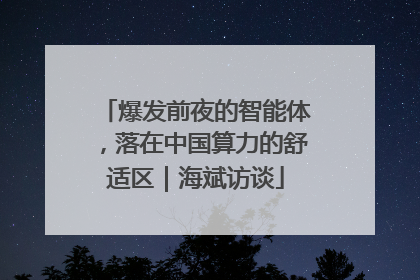 爆发前夜的智能体，落在中国算力的舒适区｜海斌访谈