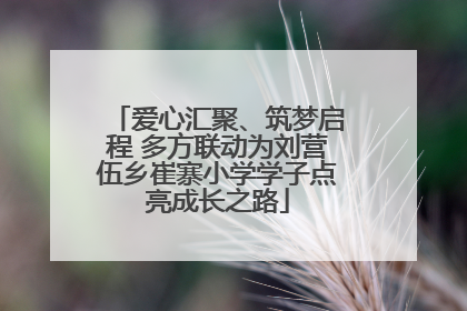 爱心汇聚、筑梦启程 多方联动为刘营伍乡崔寨小学学子点亮成长之路