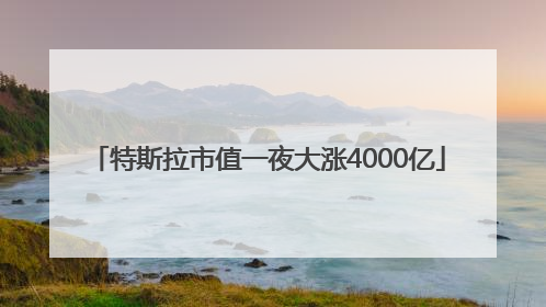特斯拉市值一夜大涨4000亿