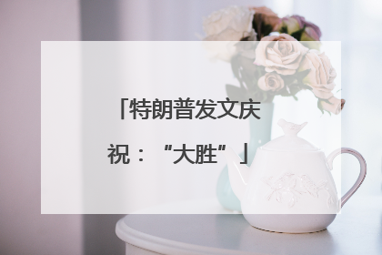 特朗普发文庆祝：“大胜”