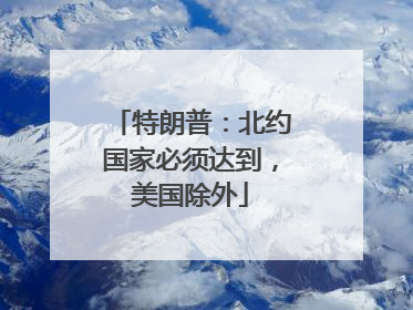 特朗普：北约国家必须达到，美国除外