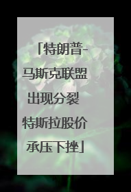 特朗普-马斯克联盟出现分裂 特斯拉股价承压下挫