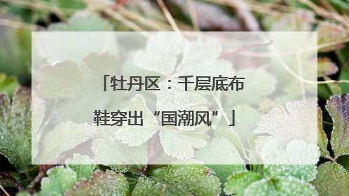 牡丹区：千层底布鞋穿出“国潮风”