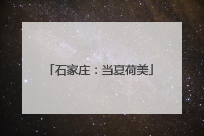石家庄：当夏荷美