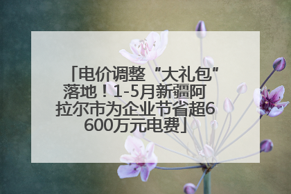 电价调整“大礼包”落地！1-5月新疆阿拉尔市为企业节省超6600万元电费
