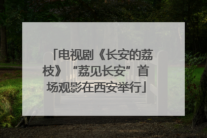 电视剧《长安的荔枝》“荔见长安”首场观影在西安举行