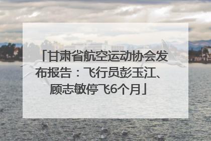 甘肃省航空运动协会发布报告：飞行员彭玉江、顾志敏停飞6个月