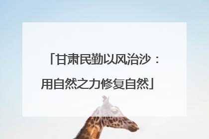 甘肃民勤以风治沙：用自然之力修复自然
