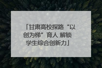 甘肃高校探路“以创为梯”育人 解锁学生综合创新力