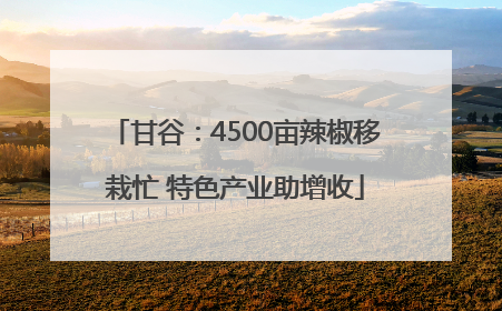 甘谷：4500亩辣椒移栽忙 特色产业助增收