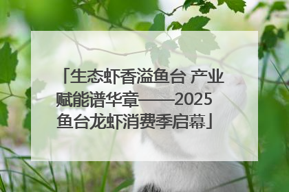 生态虾香溢鱼台 产业赋能谱华章——2025鱼台龙虾消费季启幕