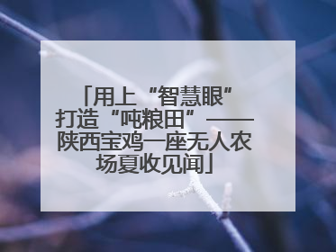 用上“智慧眼” 打造“吨粮田”——陕西宝鸡一座无人农场夏收见闻