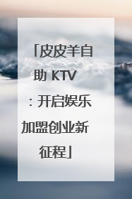 皮皮羊自助 KTV：开启娱乐加盟创业新征程