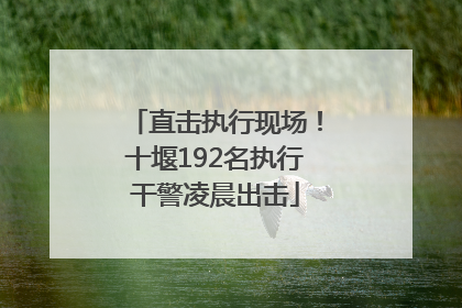 直击执行现场！十堰192名执行干警凌晨出击
