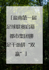 盐南第一届足球联赛启幕 都市集团铆足干劲拼“双赢”