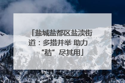 盐城盐都区盐渎街道：多措并举 助力“秸”尽其用