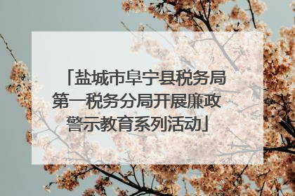 盐城市阜宁县税务局第一税务分局开展廉政警示教育系列活动