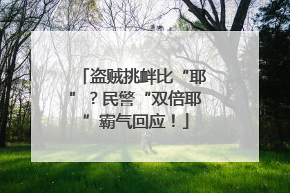 盗贼挑衅比“耶”？民警“双倍耶”霸气回应！