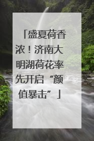 盛夏荷香浓！济南大明湖荷花率先开启“颜值暴击”