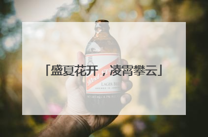 盛夏花开，凌霄攀云