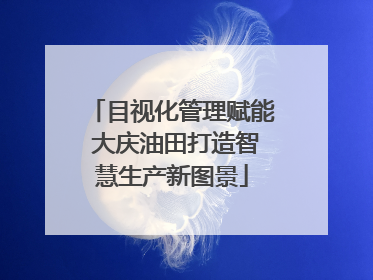 目视化管理赋能 大庆油田打造智慧生产新图景
